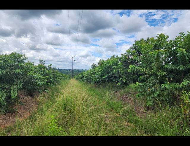 742,854M² FARM FOR SALE IN LEVUBU